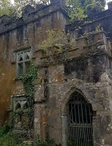 Castle Road House キャッスルタウンベア